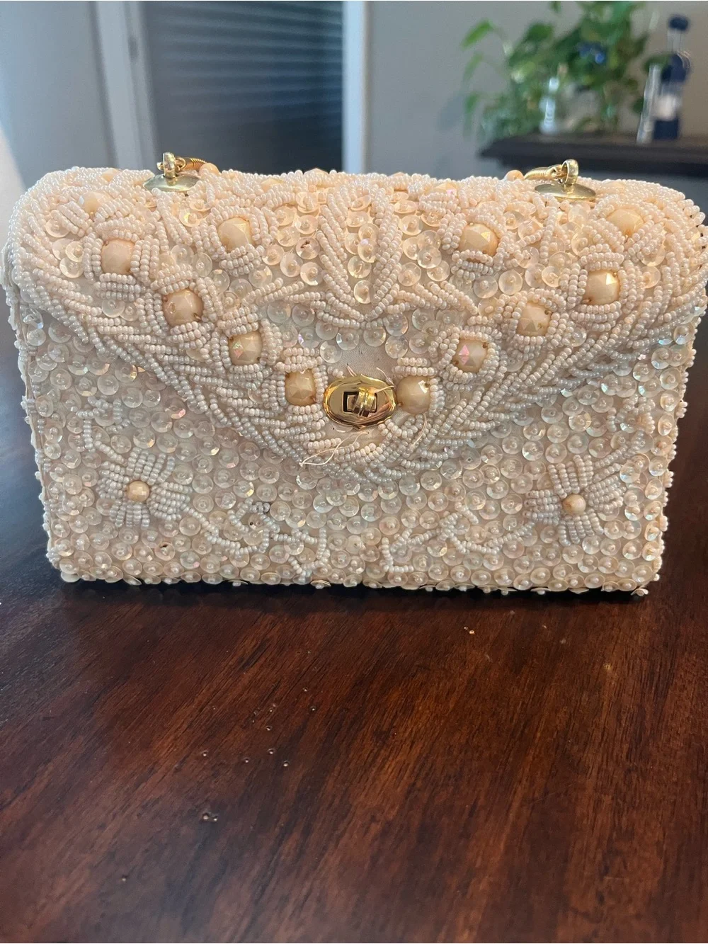 Beaded Ivory Pearl Evening Bag and Coin Purse Set